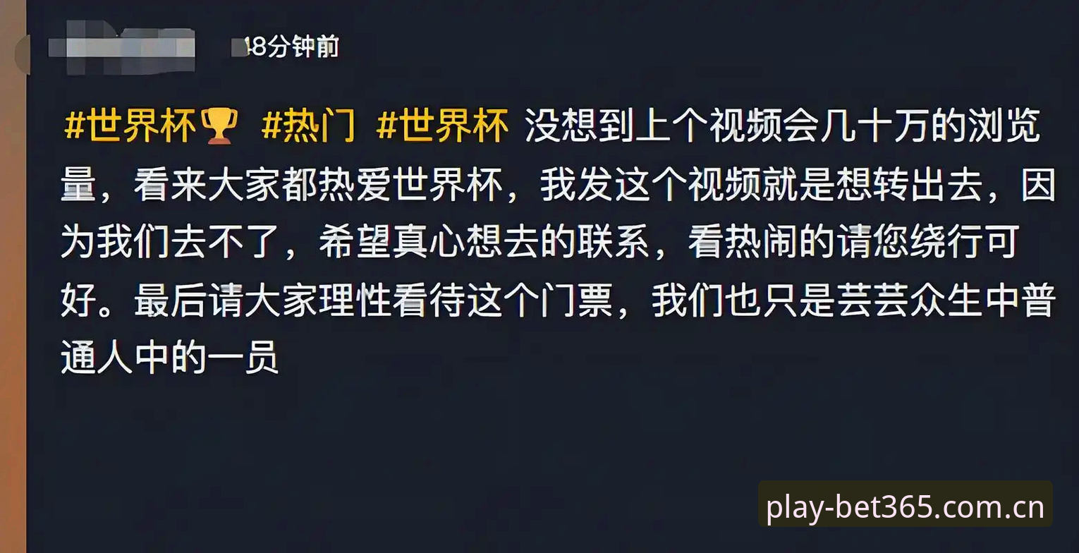 资深用户分享：世界杯门票在手却难成行，bet365平台观赛体验的意外收获